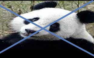 beat Google Panda update